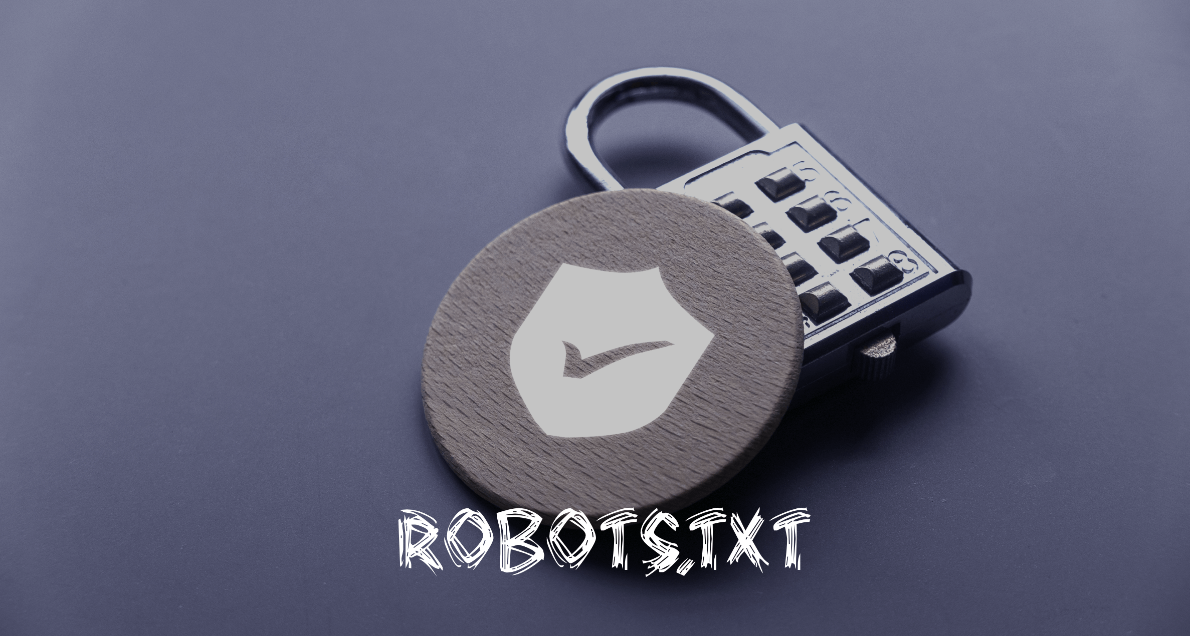 Robots.txt: guia completo